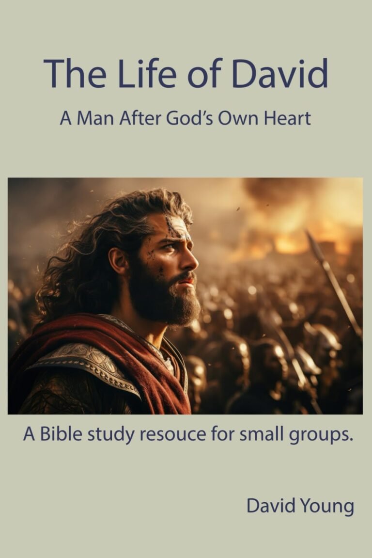 <p><strong>Unleashing a Warrior's Heart in the Life of David</strong></p>